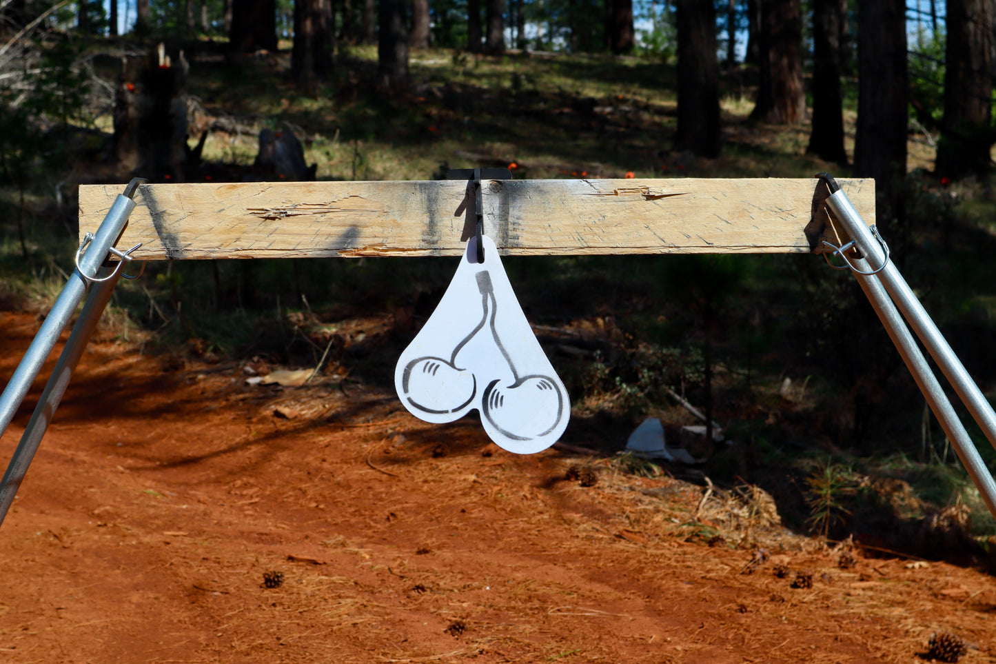 Testie Target – The Toughest Pair on the Range