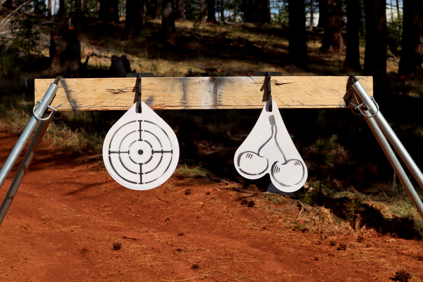 Testie Target – The Toughest Pair on the Range