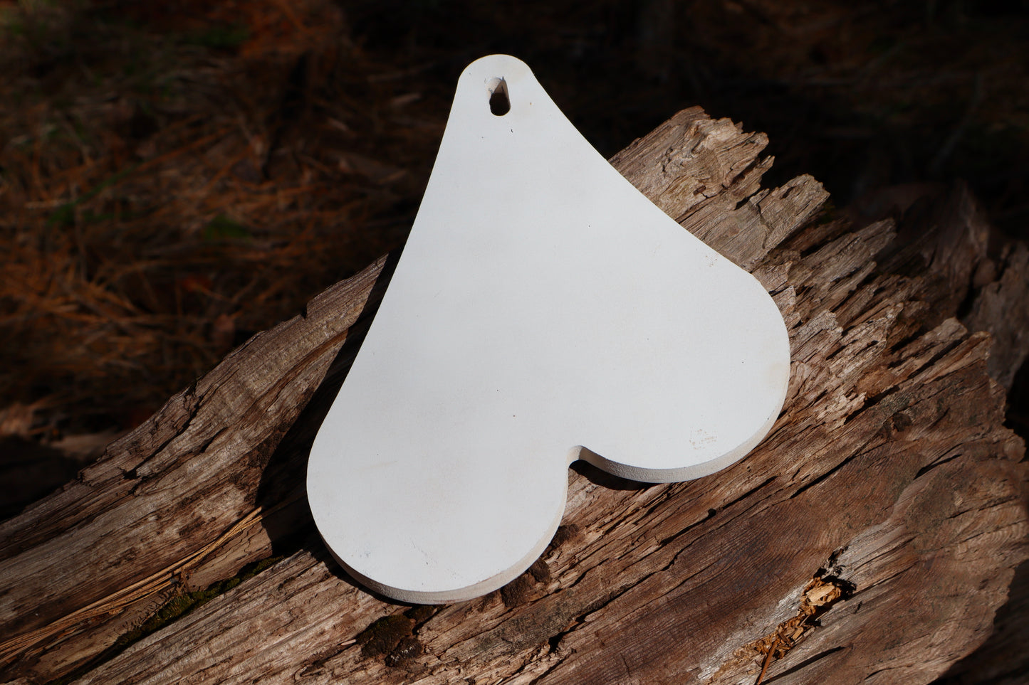 Testie Target – The Toughest Pair on the Range